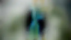 Fractal Spectrums