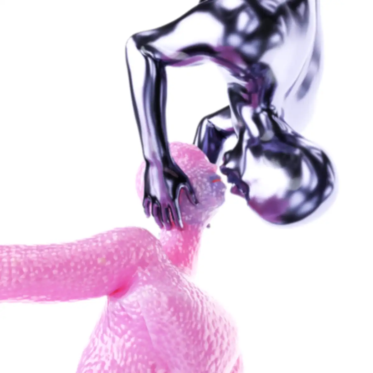 BODIES